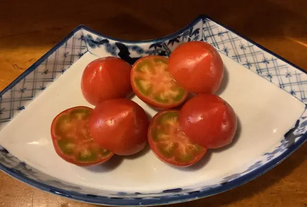 居酒屋大吉の写真・動画_image_513196