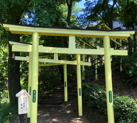 足利織姫神社 七色の鳥居の写真・動画_image_513333