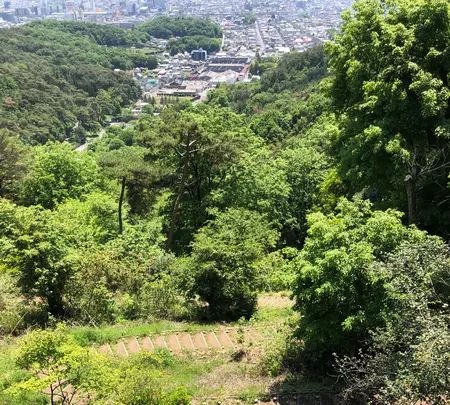 金山城址 展望駐車場の写真・動画_image_513358