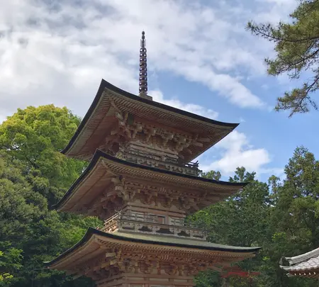 岩殿山 安楽寺の写真・動画_image_513379