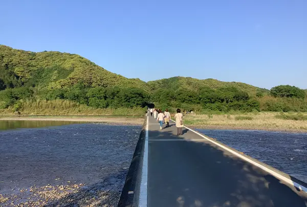 佐田沈下橋の写真・動画_image_513603