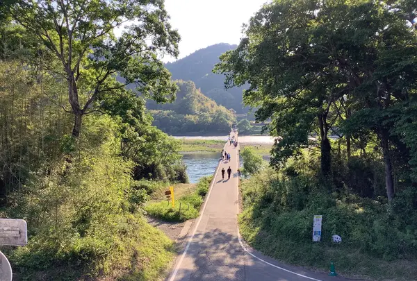 佐田沈下橋の写真・動画_image_513605