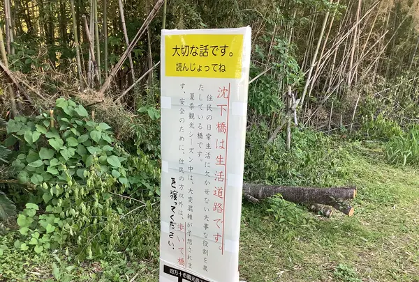 佐田沈下橋の写真・動画_image_513606