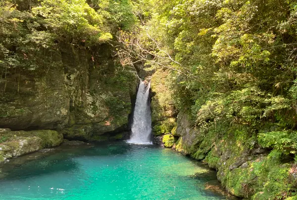 にこ淵の写真・動画_image_513627
