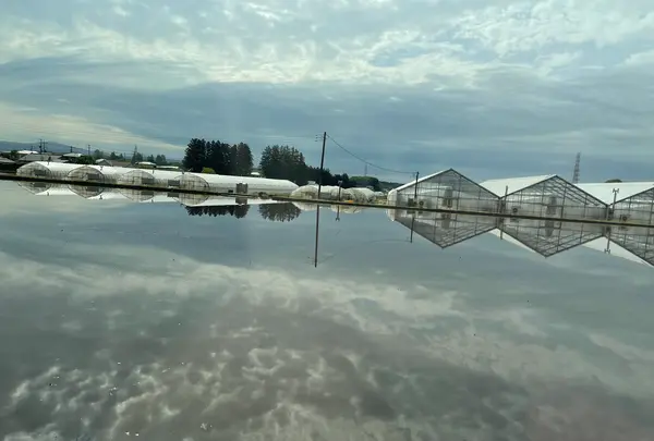 練貫の写真・動画_image_513814