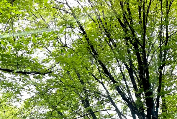 練貫の写真・動画_image_513824