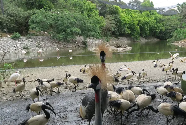 ネオパークオキナワの写真・動画_image_513843