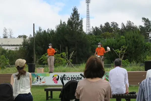 ネオパークオキナワの写真・動画_image_513852