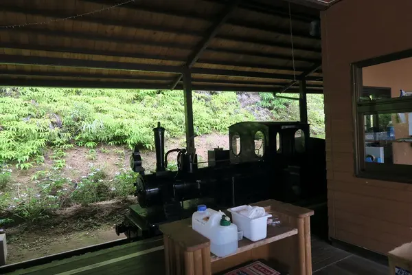 ネオパークオキナワの写真・動画_image_513853