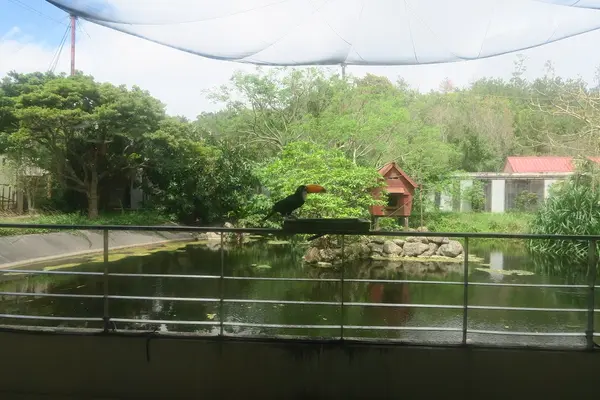 ネオパークオキナワの写真・動画_image_513854