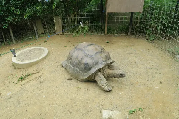 ネオパークオキナワの写真・動画_image_513860