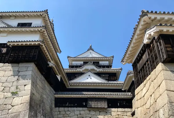 松山城の写真・動画_image_513893