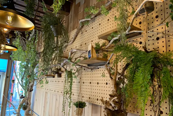 狛犬珈琲の写真・動画_image_514059