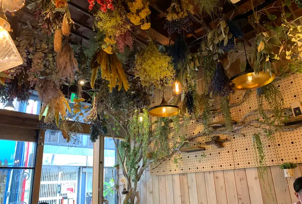 狛犬珈琲の写真・動画_image_514061