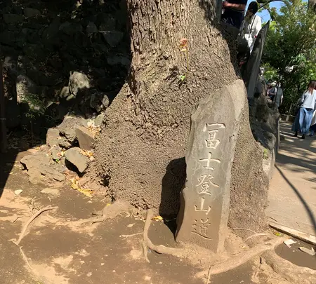品川神社の写真・動画_image_514122