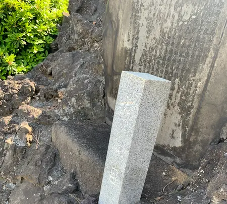 品川神社の写真・動画_image_514126