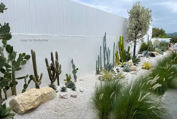 Palm Springs Cafeの写真・動画_image_514202