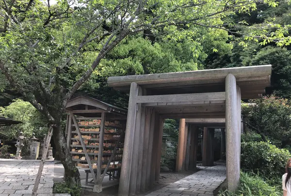 銭洗弁財天 宇賀福神社の写真・動画_image_514217