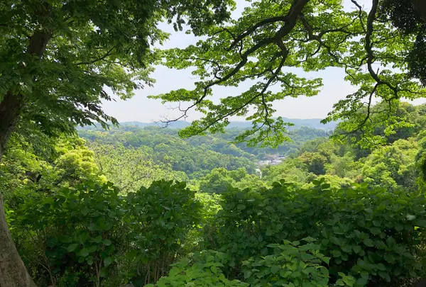 源氏山公園の写真・動画_image_514222