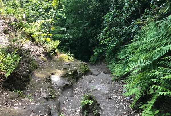 化粧坂切通しの写真・動画_image_514225