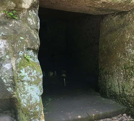 寿福寺の写真・動画_image_514226