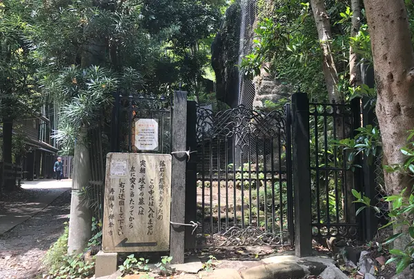 寿福寺の写真・動画_image_514228