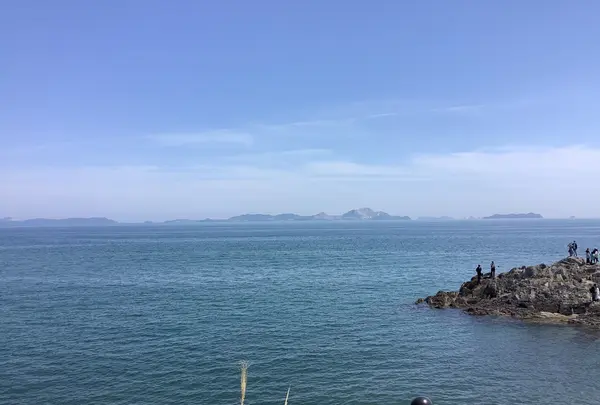 SAKURAGUMI （サクラグミ）の写真・動画_image_514702