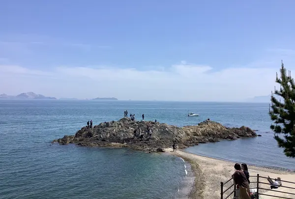 SAKURAGUMI （サクラグミ）の写真・動画_image_514707