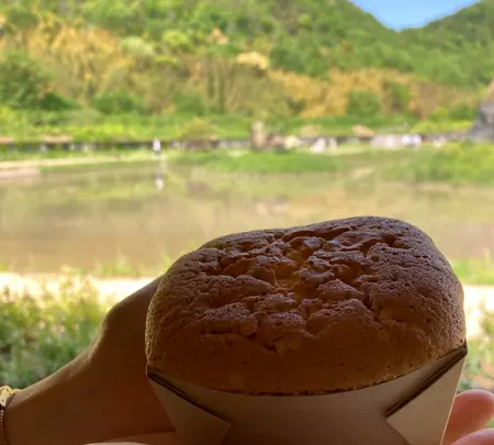 ラコリーナ近江八幡の写真・動画_image_514780