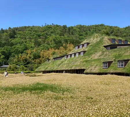 ラコリーナ近江八幡の写真・動画_image_514781