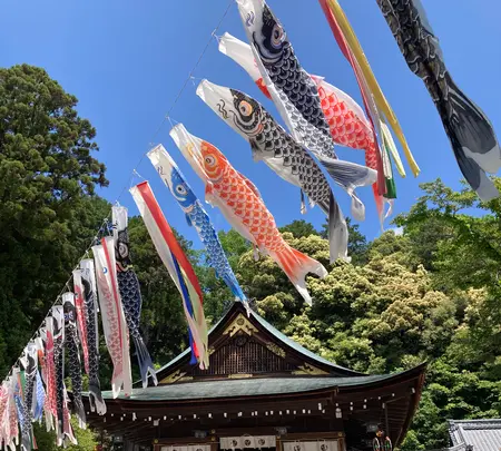 日牟禮八幡宮の写真・動画_image_514806
