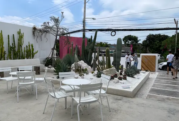 Palm Springs Cafeの写真・動画_image_514890