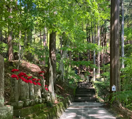 安楽寺八角三重塔の写真・動画_image_515001