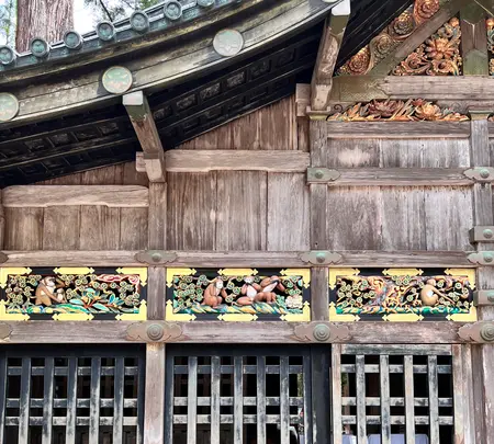 日光東照宮の写真・動画_image_515427