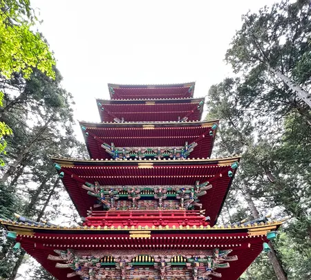 日光東照宮の写真・動画_image_515430