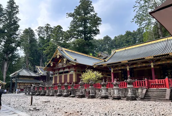 日光東照宮の写真・動画_image_515432