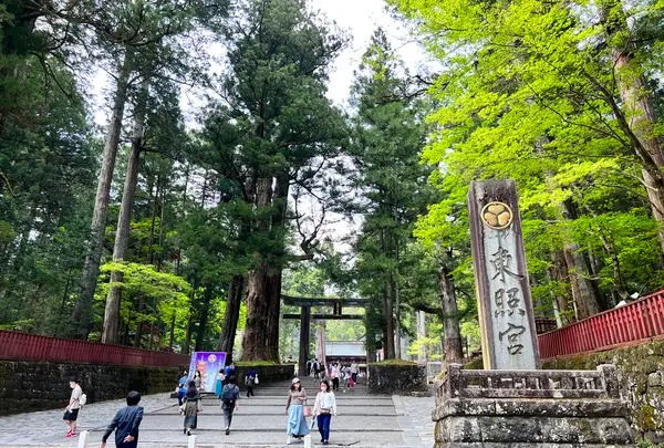 日光東照宮の写真・動画_image_515434