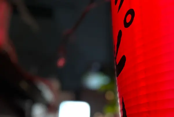 ふたあらの写真・動画_image_515472