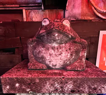 ふたあらの写真・動画_image_515476