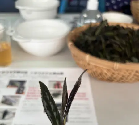 宮野園の写真・動画_image_515523