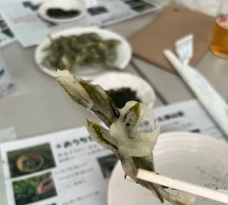 宮野園の写真・動画_image_515527