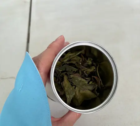 宮野園の写真・動画_image_515529