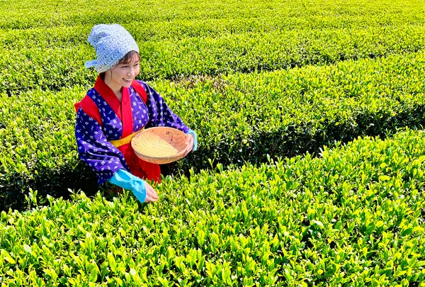 宮野園の写真・動画_image_515534