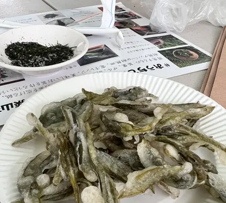 宮野園の写真・動画_image_515535