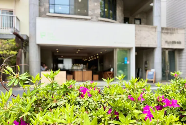 Park South Sandwichの写真・動画_image_515620