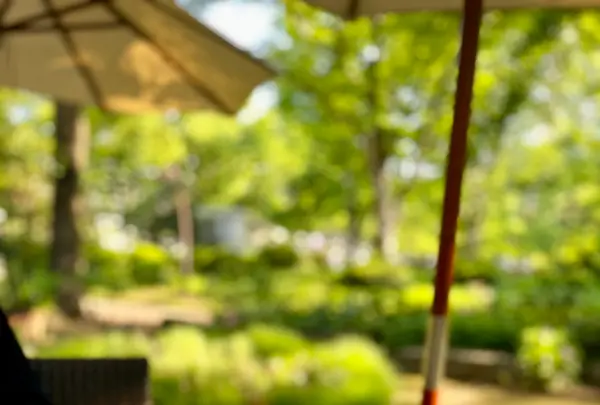 日比谷松本楼 東京女子医大店 グリーンテラスの写真・動画_image_515640