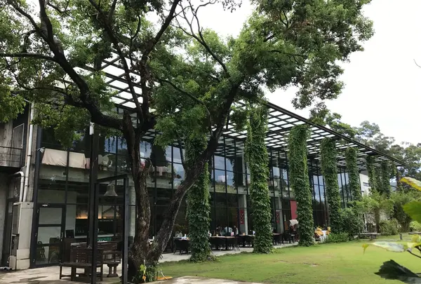 新月梧桐三義店の写真・動画_image_515816