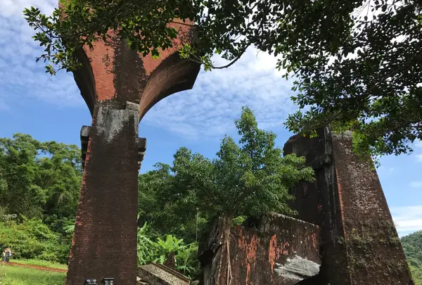 龍騰断橋の写真・動画_image_515860