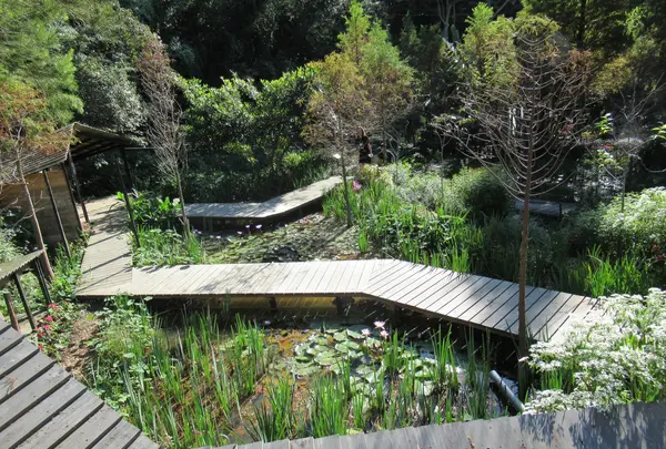 卓也小屋渡仮園区の写真・動画_image_515882