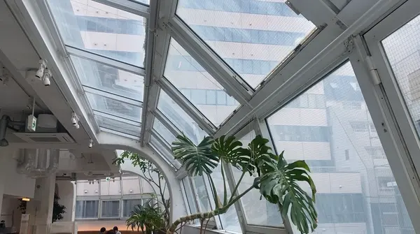 THE POOLSIDE（ザ・プールサイド）の写真・動画_image_516208